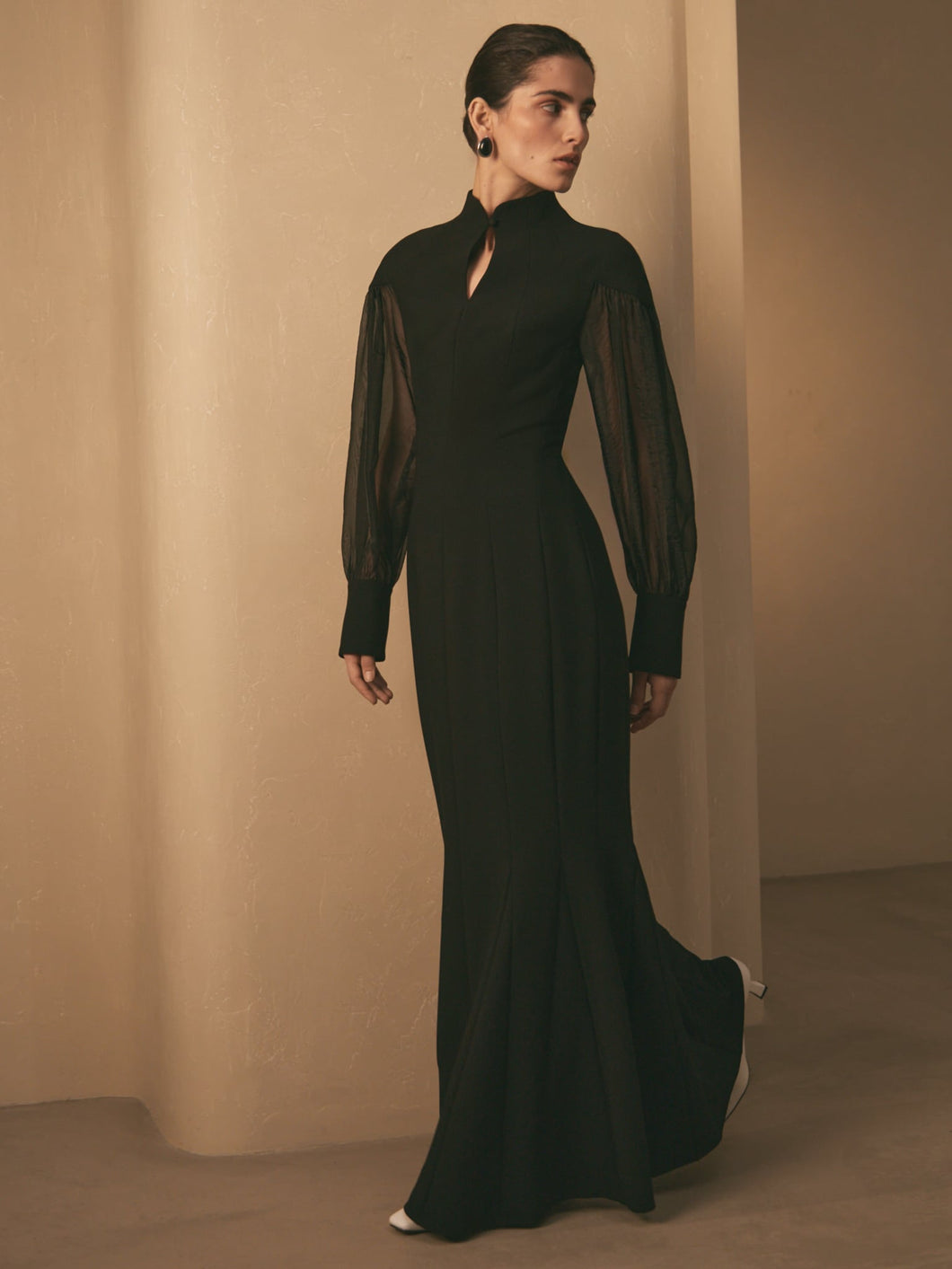 Maxi dress with sheer sleeves